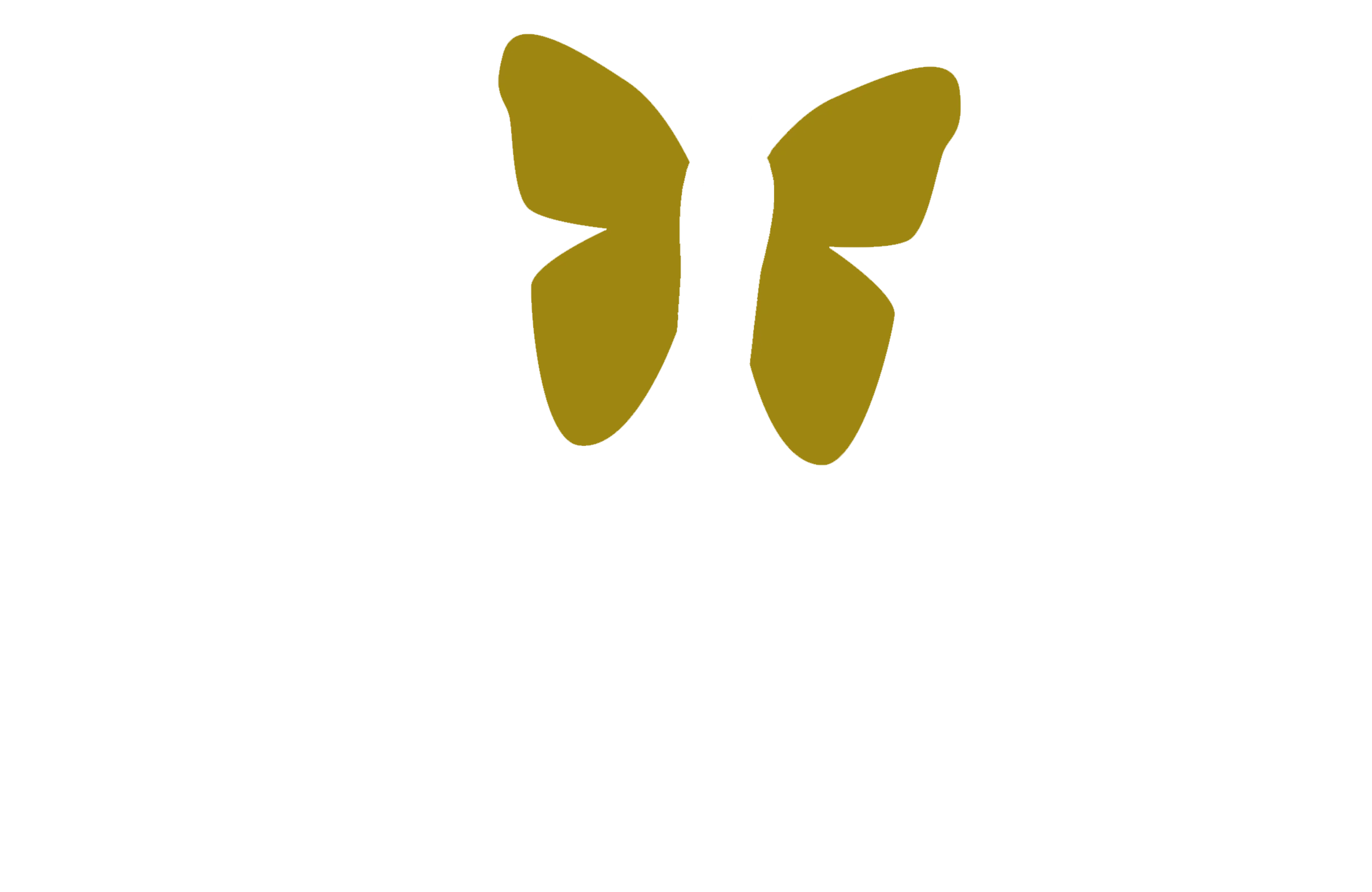 Fleekyz White Text Logo