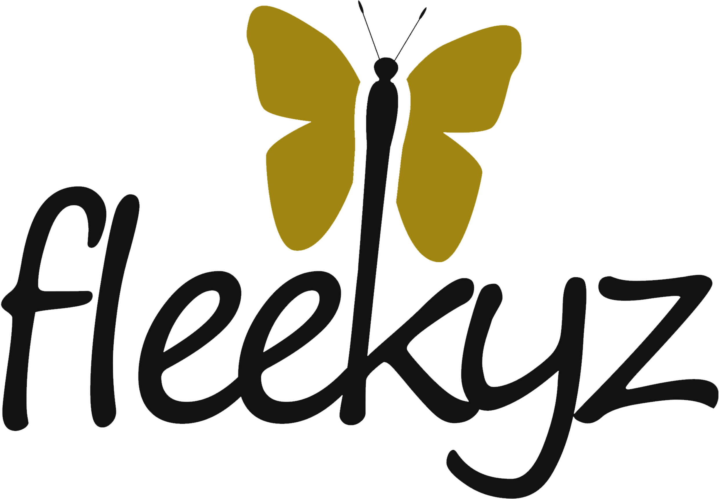 Fleekyz Logo Original (croped)